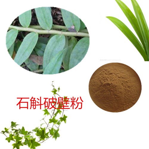 石斛粉 石斛破壁粉 石斛浸膏 石斛提取液