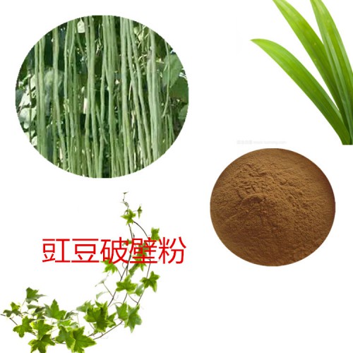 豇豆粉 豇豆破壁粉 豇豆浸膏 豇豆提取液