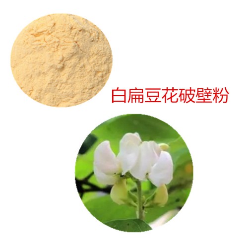 白扁豆花粉 白扁豆花破壁粉 白扁豆花浸膏 白扁豆花提取液