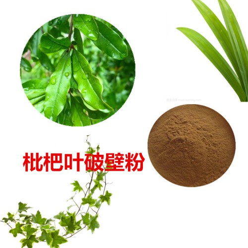 枇杷葉粉  枇杷葉破壁粉 枇杷葉浸膏  枇杷葉提取液