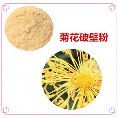 菊花粉  菊花破壁粉 菊花浸膏 菊花提取液