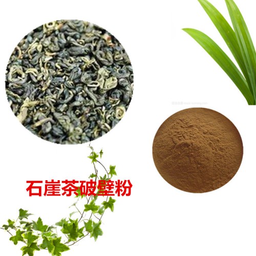 石崖茶粉  石崖茶破壁粉  石崖茶浸膏 石崖茶提取液