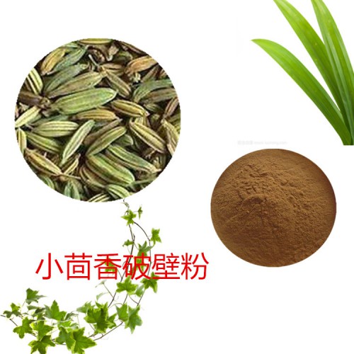 小茴香粉 小茴香破壁粉 小茴香浸膏 小茴香提取液