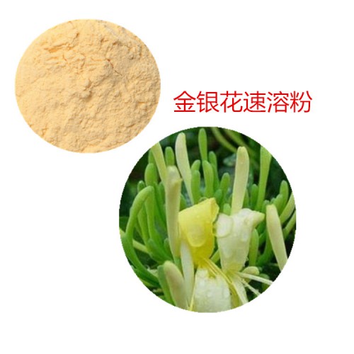 金銀花速溶粉 金銀花速提取物  金銀花浸膏 金銀花浸膏粉