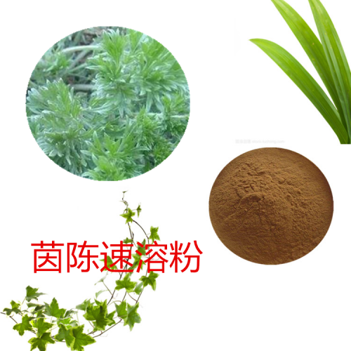 茵陳速溶粉 茵陳速提取物 茵陳浸膏 茵陳浸膏粉