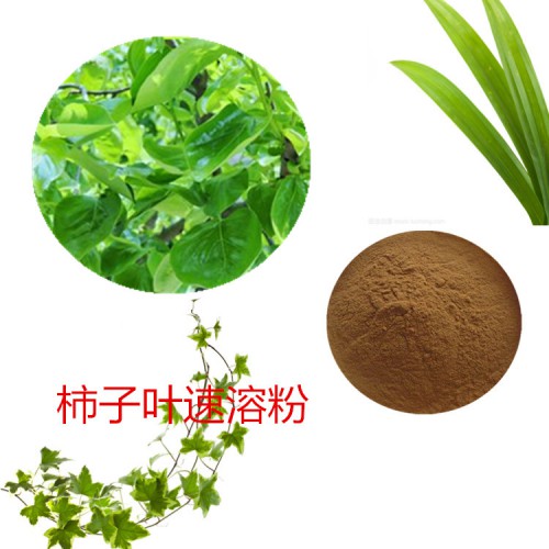 柿子葉速溶粉  柿子葉提取物 柿子葉浸膏 柿子葉浸膏粉