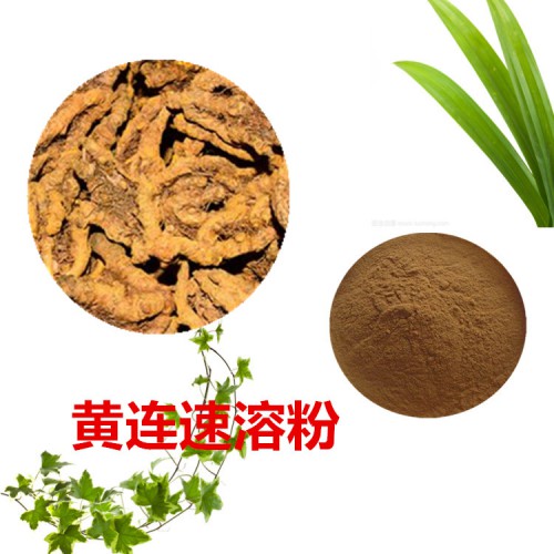 山茱萸速溶粉  山茱萸提取物 山茱萸浸膏 山茱萸浸膏粉