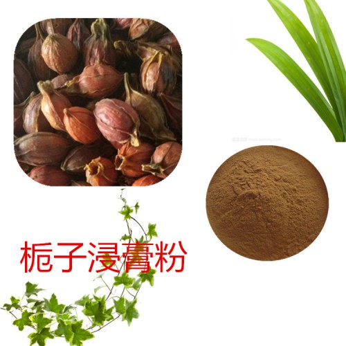 梔子速溶粉  梔子提取物 梔子浸膏 梔子浸膏粉