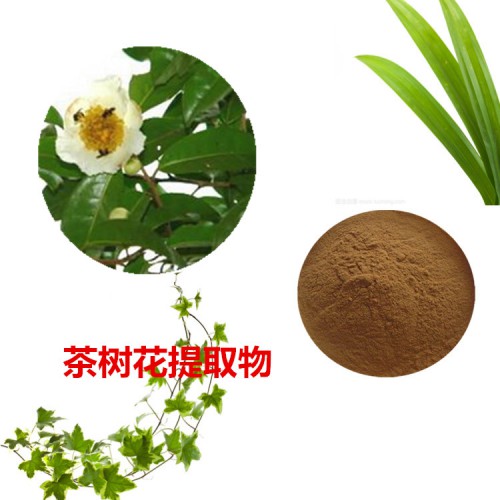 茶樹(shù)花提取物  茶樹(shù)花粉  茶樹(shù)花浸膏  茶樹(shù)花提取液