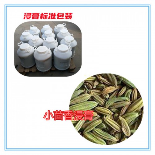 小茴香浸膏  小茴香浸膏粉   小茴香提取物  小茴香粉