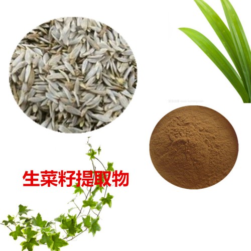 生菜籽粉  生菜籽提取物 生菜籽浸膏 生菜籽提取液