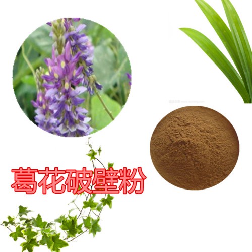 葛花粉  葛花破壁粉 葛花浸膏  葛花提取液