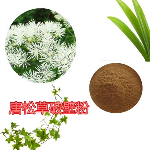 唐松草粉 唐松草提取物  唐松草浸膏  唐松草破壁粉