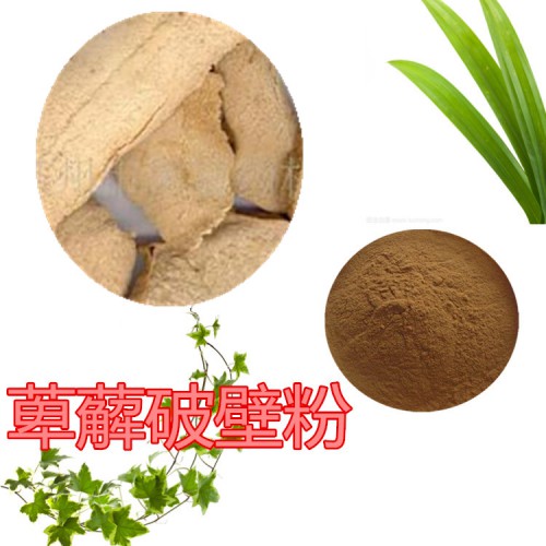 萆薢粉 萆薢提取物 萆薢破壁粉  萆薢浸膏