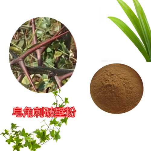 皂角刺粉 皂角刺提取物 皂角刺破壁粉  皂角刺浸膏