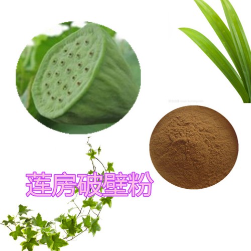 蓮房破壁粉   蓮房提取物   蓮房粉  蓮房浸膏