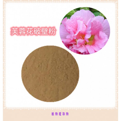 芙蓉花提取物  芙蓉花浸膏  芙蓉花粉  芙蓉花破壁粉