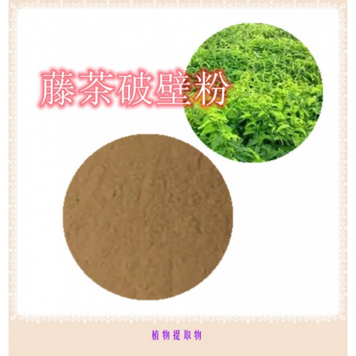 藤茶提取物  藤茶浸膏 藤茶粉 藤茶破壁粉