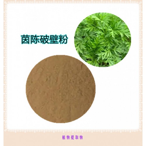 茵陳粉 茵陳破壁粉 茵陳浸膏 茵陳提取液