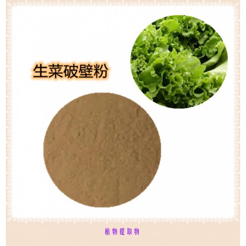 生菜提取物   生菜浸膏   生菜粉 生菜破壁粉