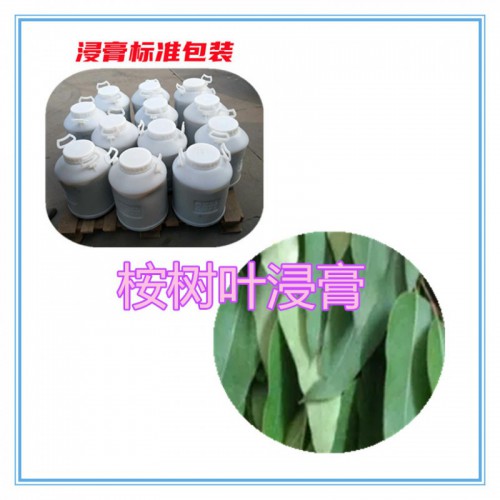 桉樹(shù)葉提取物 桉樹(shù)葉浸膏 桉樹(shù)葉粉 桉樹(shù)葉破壁粉