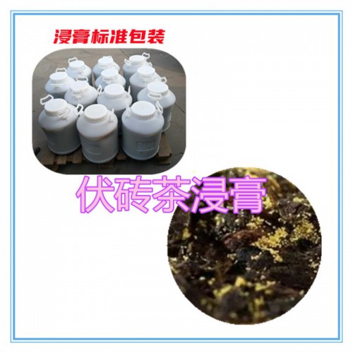 伏磚茶提取物   伏磚茶浸膏 伏磚茶粉 伏磚茶破壁粉