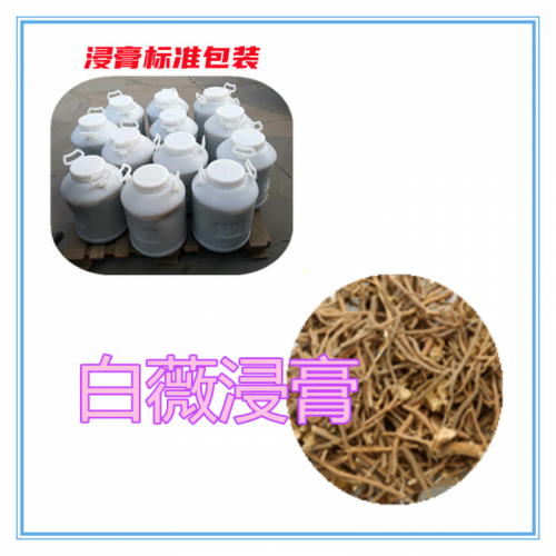 白薇提取物 白薇浸膏 白薇粉 白薇破壁粉