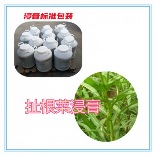 扯根菜提取物 扯根菜浸膏 扯根菜粉 扯根菜破壁粉