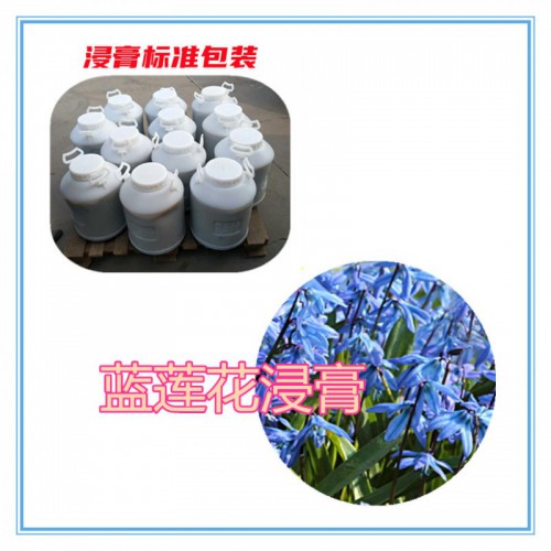 藍(lán)蓮花提取物 藍(lán)蓮花浸膏 藍(lán)蓮花粉 藍(lán)蓮花破壁粉