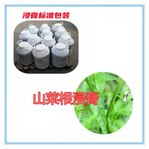 山菜根提取物 山菜根浸膏  山菜根粉 山菜根破壁粉