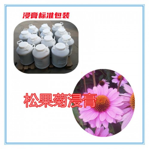 松果菊提取物 松果菊浸膏  松果菊粉 松果菊破壁粉