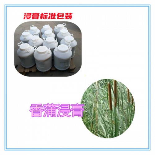 香蒲速溶粉 香蒲提取物  香蒲浸膏 香蒲浸膏粉