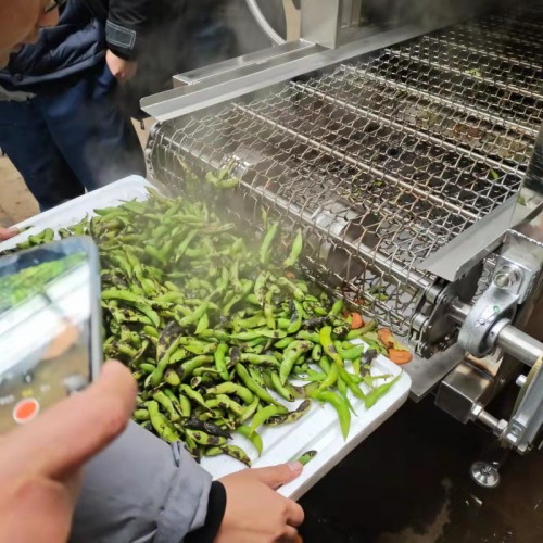 義康牌  杭椒燒焦機  全自動藥材燒毛機  毛豆燒皮機