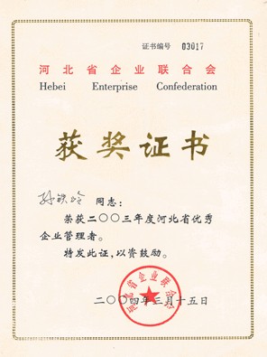 2003年河北省優(yōu)秀企業(yè)管理者