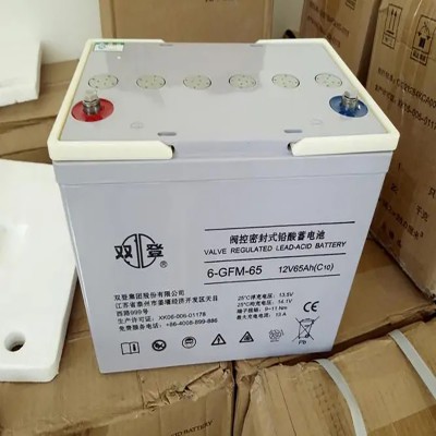 雙登蓄電池6-GFM-24鉛酸免維護(hù)電池12V24AH