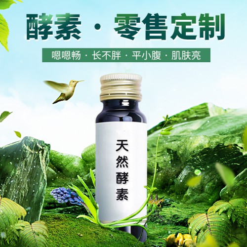 桑葚植物酵素清腸減脂 酵素加工廠家