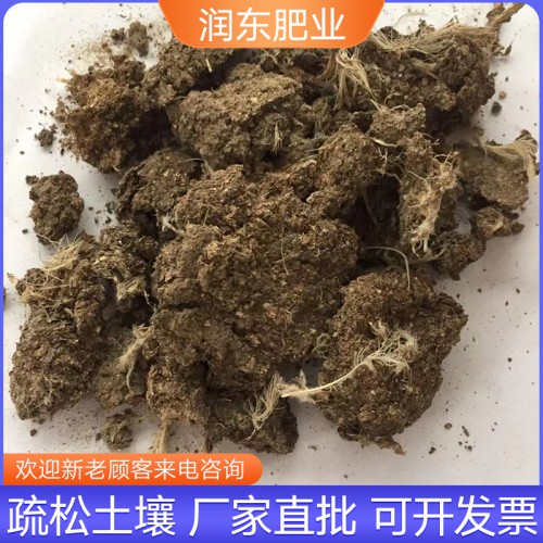 干雞糞塊 干雞糞發(fā)酵雞糞 雞糞塊肥料