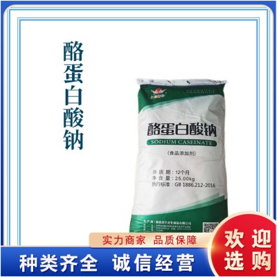 食品級酪蛋白酸鈉 高蛋白含量 食品原料