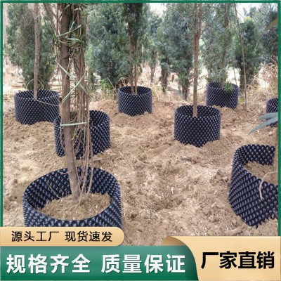 控根器 苗木果樹(shù)移栽控根快速育苗容器 加厚園林苗木限根器