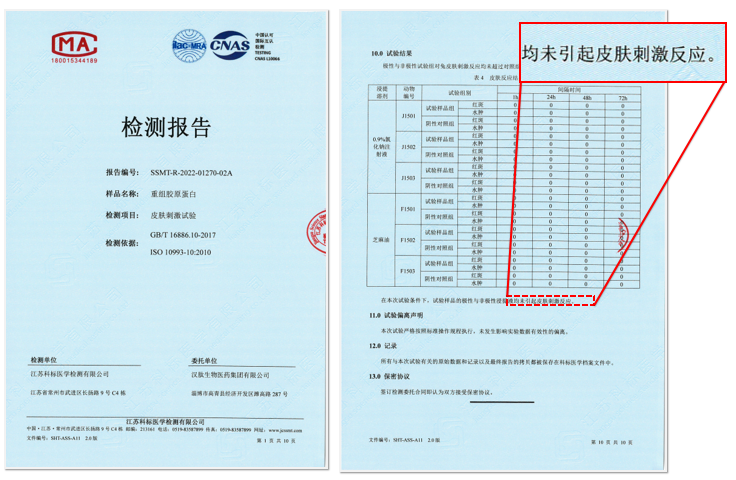 檢測(cè)報(bào)告2