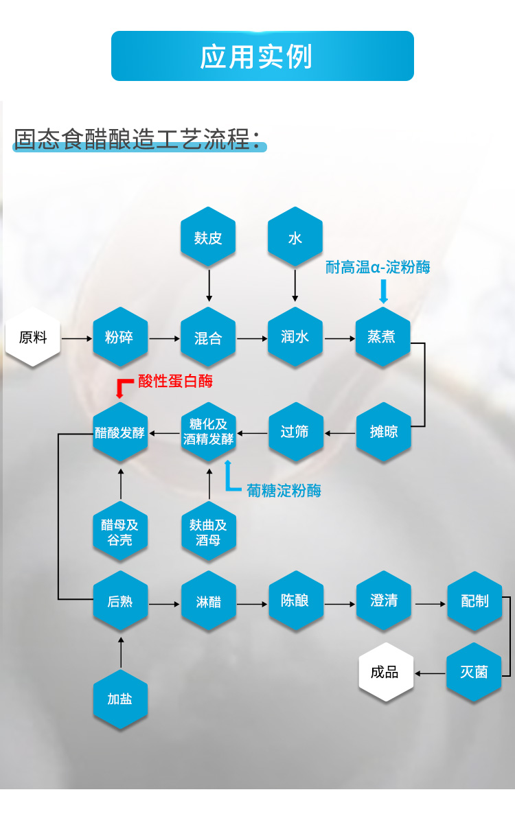 酸性蛋白酶（固態(tài)食醋加工專用）_05