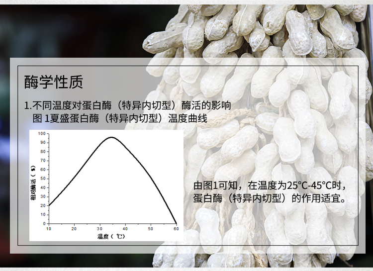 蛋白酶-（植物蛋白加工專用特異內(nèi)切型）詳情_05