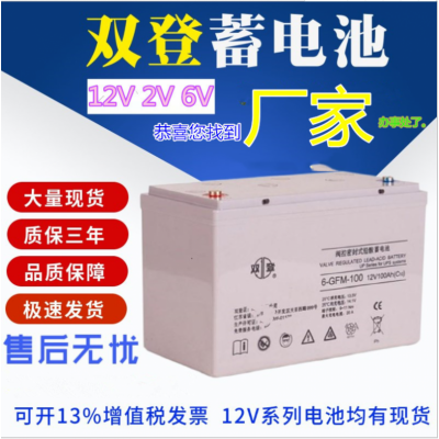 雙登蓄電池6-GFM-100