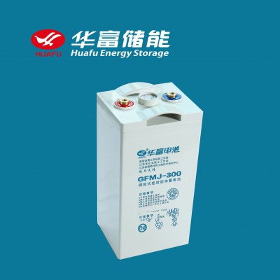 華富蓄電池 鉛碳蓄電池2V