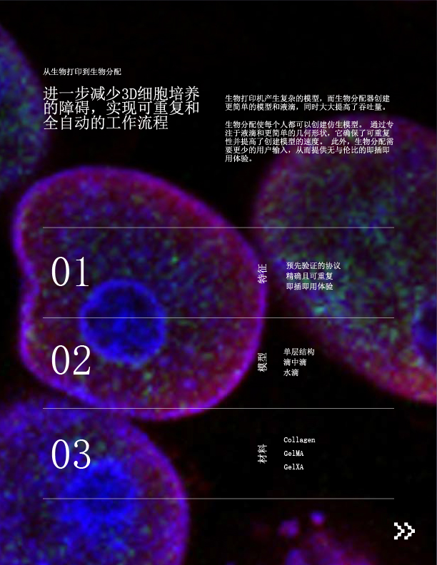 未標(biāo)題-4-05