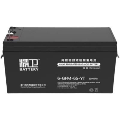 科·華精衛(wèi)蓄電池6-GFM-65-YT免維護(hù)12V65AH