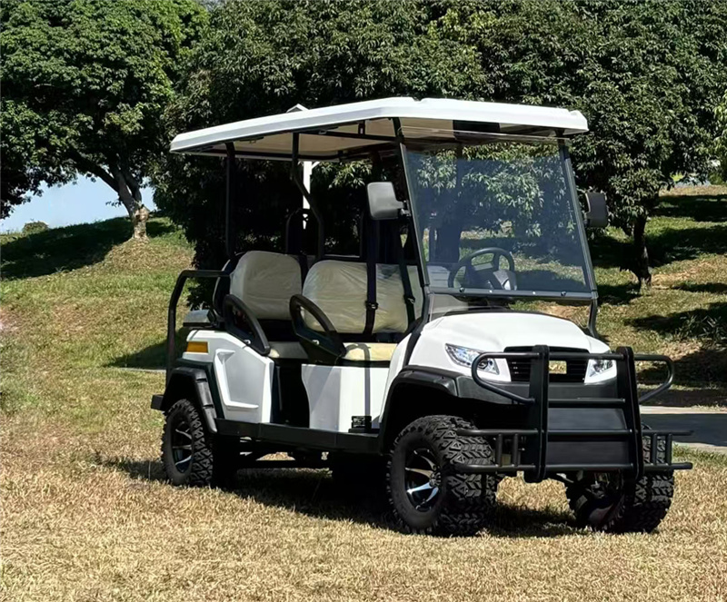 3電動觀光車廠家